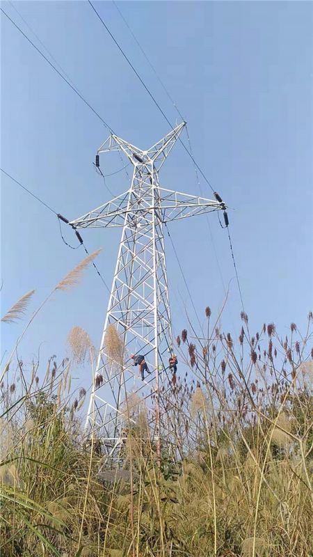 電力線路防腐